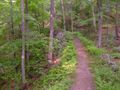 Appalachian Trail 2.jpg