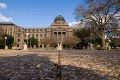 Texas AM University.jpg