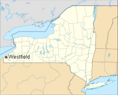 Westfield im Bundesstaat New York