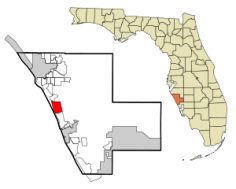 Osprey im Bundesstaat Florida