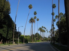 Der Sunset Bulevard in den Beverly Hills